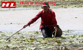 Tại Bắc Ninh: Nghiêm cấm đánh bắt cá bằng xung điện