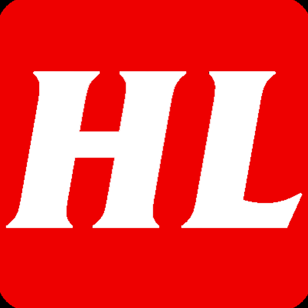 Logo công ty dịch vụ thám tử Hoàng Long