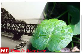 dan thanh hoa va rau ma