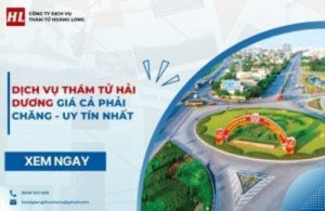 dich vu tham tu hai duong avt 300x195 1
