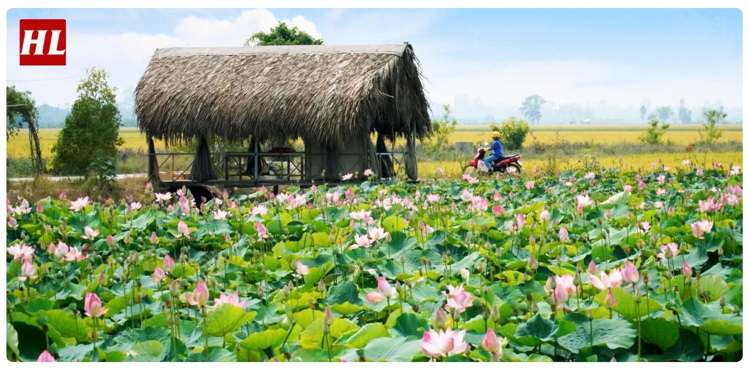 thám tử Đồng Tháp