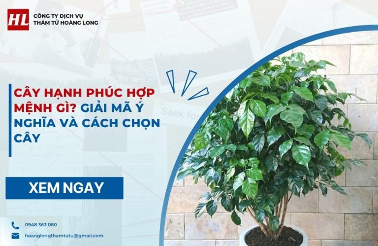 cây hạnh phúc hợp mệnh gì