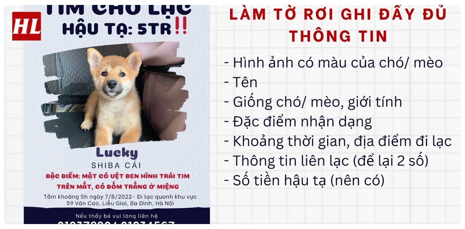 Dịch vụ tìm chó lạc