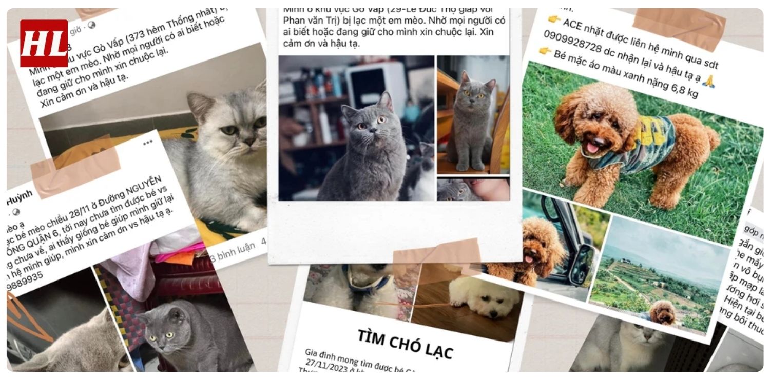 Dịch vụ tìm chó lạc