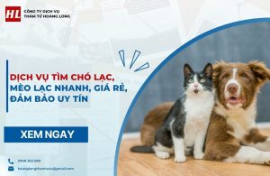 Dịch vụ tìm chó lạc