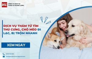 dịch vụ thám tử tìm thú cưng