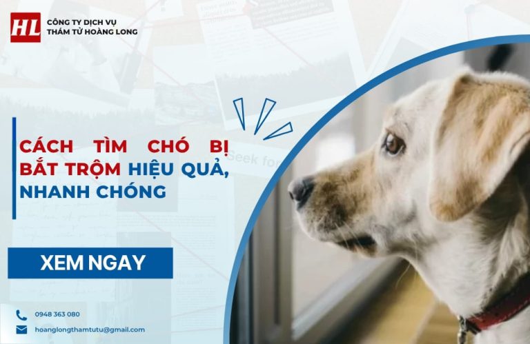 tìm chó bị bắt trộm