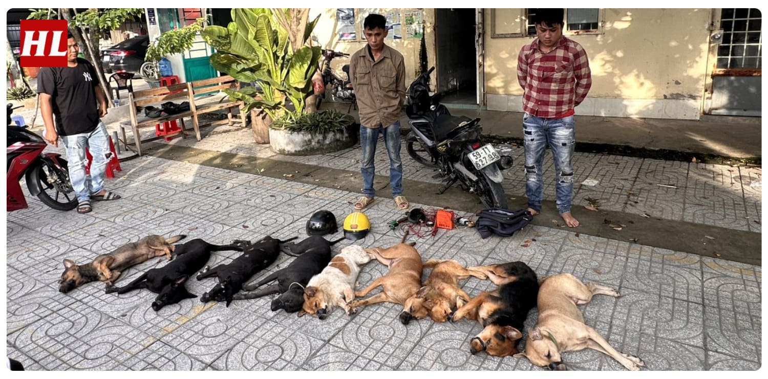 Các mối nguy hiểm đe dọa thú cưng 