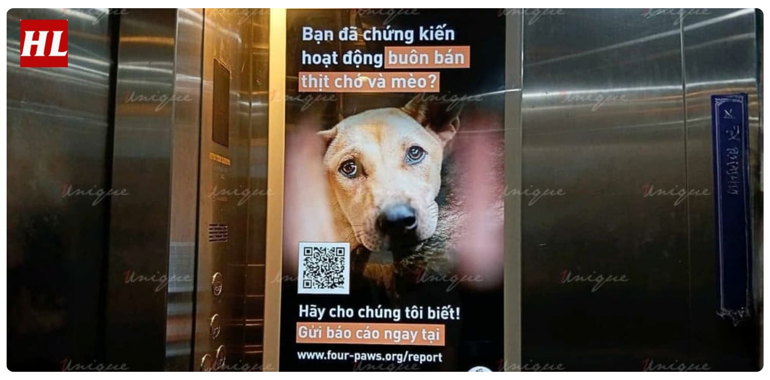 Đẩy mạnh chiến dịch lan tỏa nhận diện trên các nền tảng số